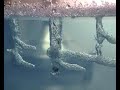 Antworks