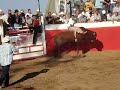 JARIPEO RANCHO EL PEDREGAL