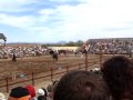 Jousting at the Ren Fair