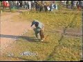 dogfight training pitbull against terrorists