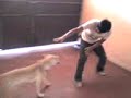Ronald y su perrito Gitano en una zoofilia alucinante!!