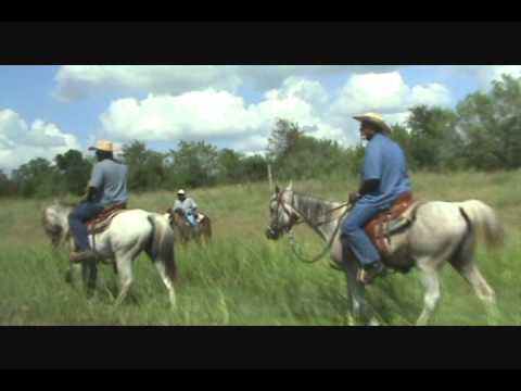 runners and riders