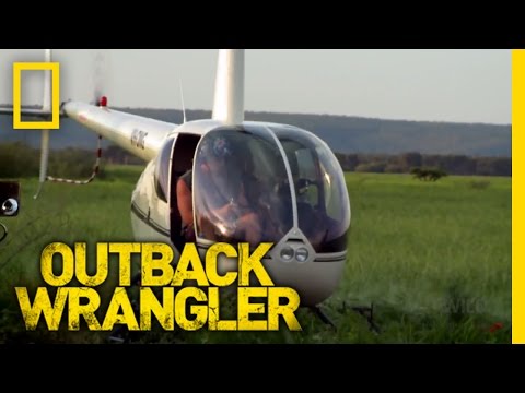 Releasing Wild Crocs | Outback Wrangler