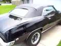 1969 Firebird Convertible, 1969 Camaro SS, Classic Cars