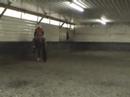 Always With A Smile- 2005 AQHA Mare by Always The Choice