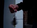 pph   frizider  pipi alarm 