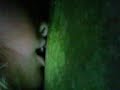 lexxy snogging a tree lexxy snogging a tree