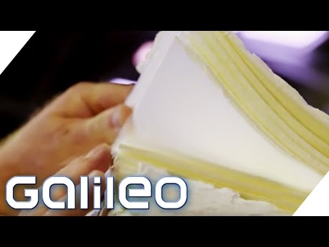 Alltagshelfer: Toilettenpapier | Galileo | ProSieben