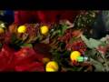 videos de Make Your Own Holiday Decorations