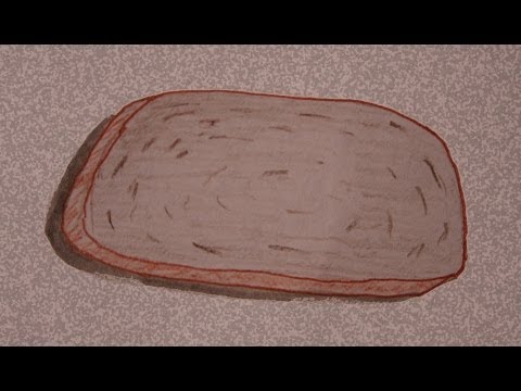 how to trip on rye bread mold