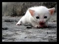 minu tehtud siis jälle ^.^
