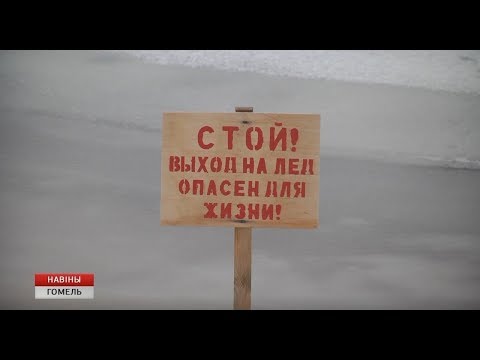 Репортаж: Рейд с ОСВОД видео