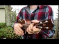 "The Music Is You: A Tribute To John Denver ...