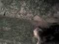 videos de boquita boluda eschucha mal