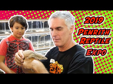 YouTube reptile video