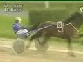 Senechal Limburgia - Cornelis Loman, Frisian Ascot Day W\ Senechal Limburgia - Cornelis Loman, Frisian Ascot Day W\