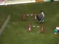 Jumping Italia Team Large: Cerna e Jack