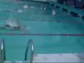 videos de Longest and Perfect Backstroke Turn Ever...