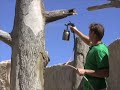 Vertical Stamping & Concrete Ideas