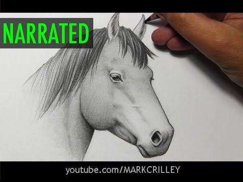 how to draw draw a horse