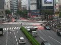 Przejście dla pieszych - Tokio