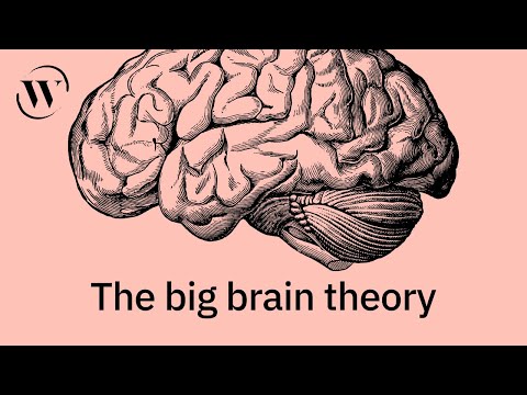 The evolution of the human brain – Learning from Dogs