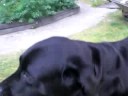 Livia 080721