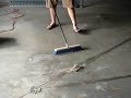 Area Rug Cleaning - Step One
