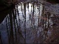 A Video for the song Porcelain by Moby