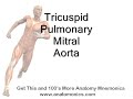 Heart Valve Sequence Mnemonic