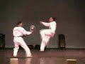 korean tigers