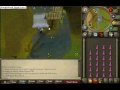 videos de Ape Atoll Agility Course