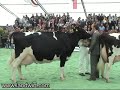 4. Dairy Grand Prix Austria