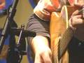 Todd Steed perform Stuck in Asia at WDVX