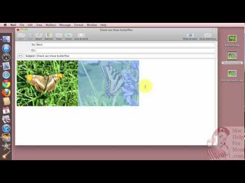 how to attach multiple photos to email on mac