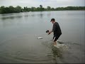 Proboat Mini Cat *Brushless*