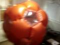 videos de ballll