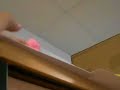 suicide gum suicide gum