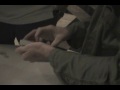 Dan Buck at TAOM