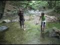 videos de Donne - Zucchero - Women - Zucchero Sugar Fornaciari