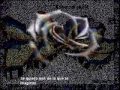 Amiga - Arma Blanca