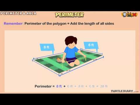 Finding the Perimeter of a Shape! *Math for Kids*