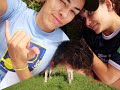 Escorpi�o(escotismo)