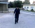 Tatoi-Avarkiotis Tatoi-Avarkiotis