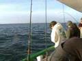 Tautog Fishing on The North Star, Ocean City, NJ
