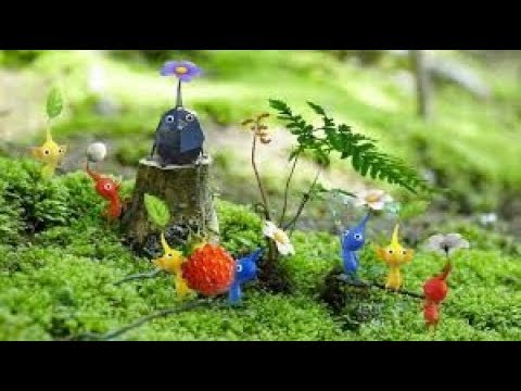 動画