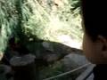 Samuel at the Zoo
