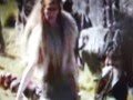 The Chronicles of Narnia- The Call