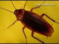 contaminaci�n