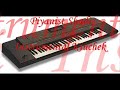 Piyanist Shadi - Instrumental Kiuchek /G-600